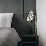 Apartmán Executive Taborska Mladá Boleslav