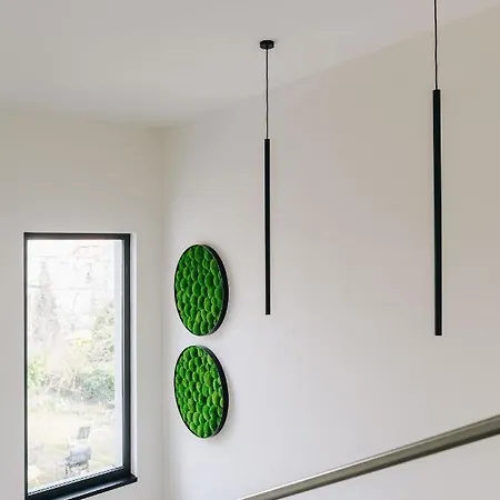 Executive Taborska 公寓 *