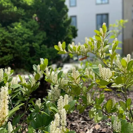 Lägenhet Executive Taborska