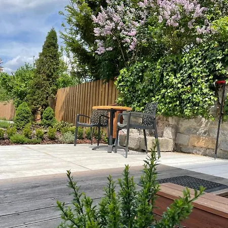 Executive Taborska 马达伯乐斯拉夫