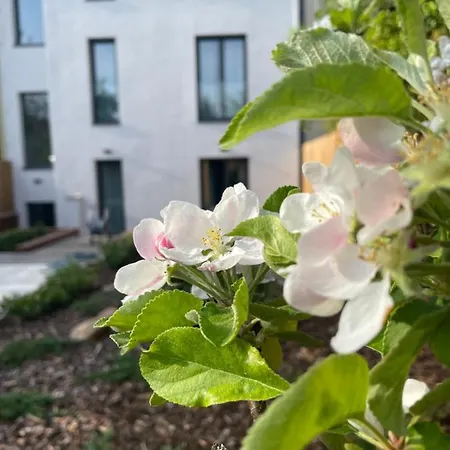 Executive Taborska 公寓