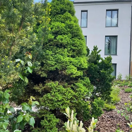 Executive Taborska *