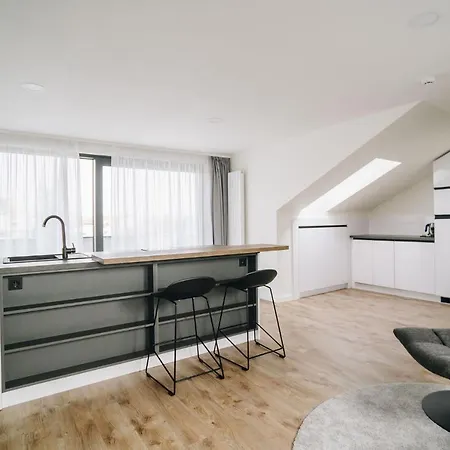 Executive Taborska Apartment *