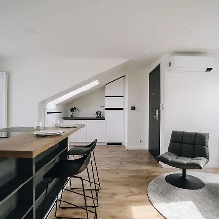 Executive Taborska 马达伯乐斯拉夫