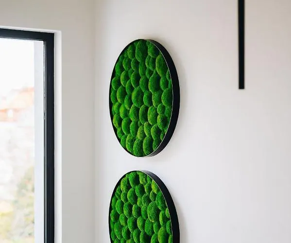 Executive Taborska Apartman