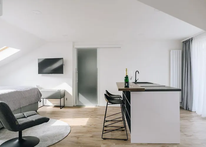 Executive Taborska Apartman *