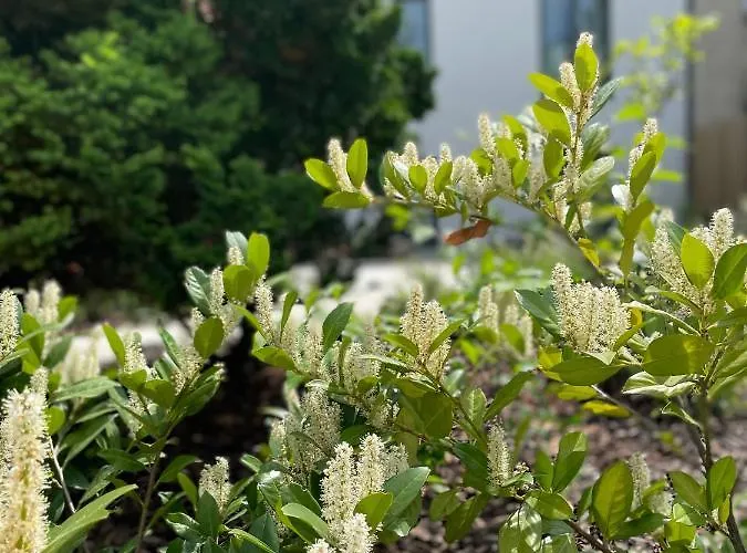 公寓 Executive Taborska