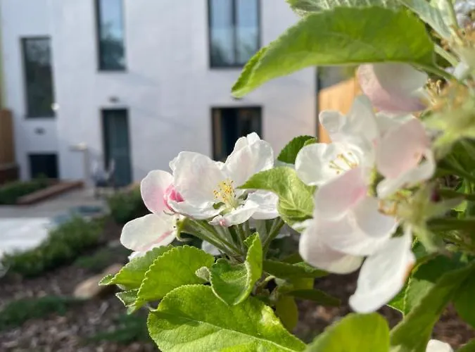 Executive Taborska 公寓