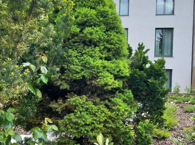 Executive Taborska *