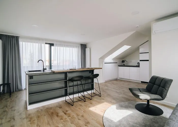 Executive Taborska 公寓 马达伯乐斯拉夫